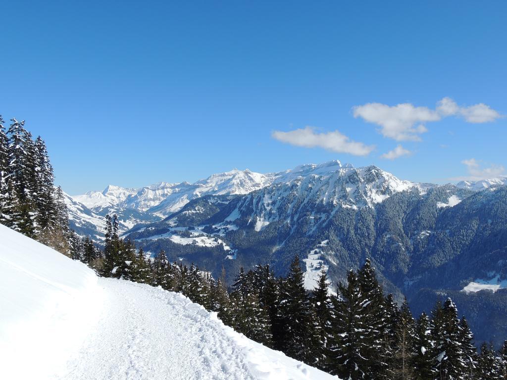 Alpine Classic Hotel Leysin Extérieur photo